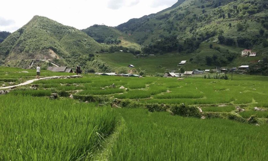 SaPa Trekking Tour 3 Days 2 Nights 5 sapa trekking tour 2 days 2 nights 900x540 1